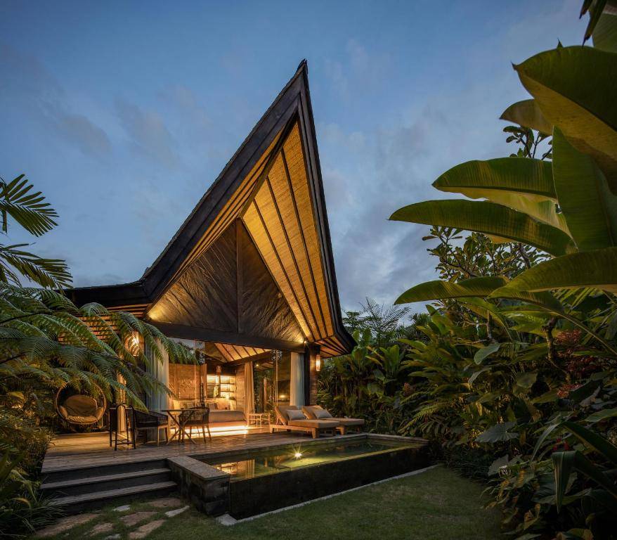Premium Jabu with Plunge Pool